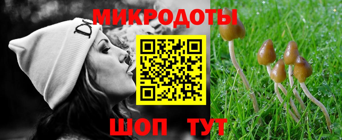 Галлюциногенные грибы Psilocybe  Псилоцибиновые грибы Cubensis  Луга  Вход с VPN 